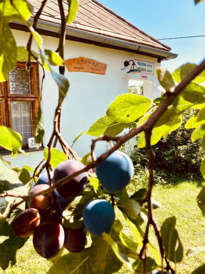 Ubytovanie U Aranky Cierna nad Tisou Luaran gambar
